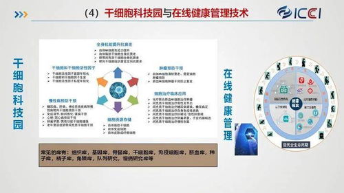 國(guó)合院發(fā)布八大規(guī)劃與產(chǎn)業(yè)化業(yè)務(wù)布局，賦能旅游開發(fā)項(xiàng)目策劃咨詢新篇章